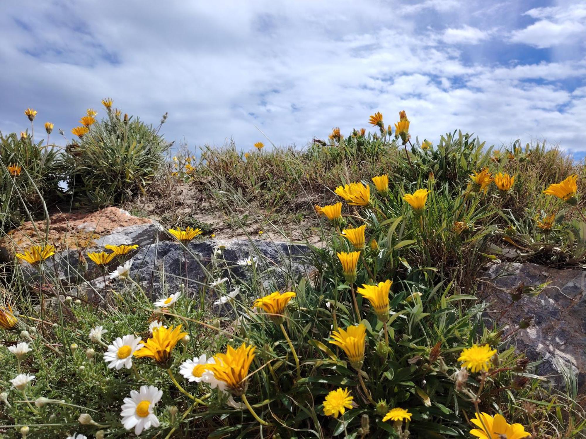 グリュイッサンPort Panoramiqueアパートメント エクステリア 写真